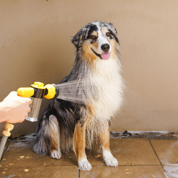 Portable Dog Jet Spray Gun